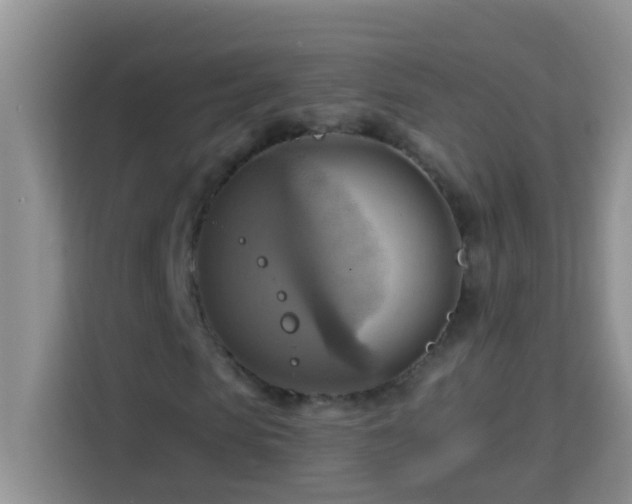 X0000114100913200910051442