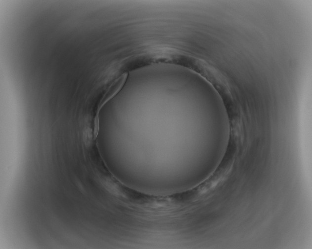 X0000114100916200910051442