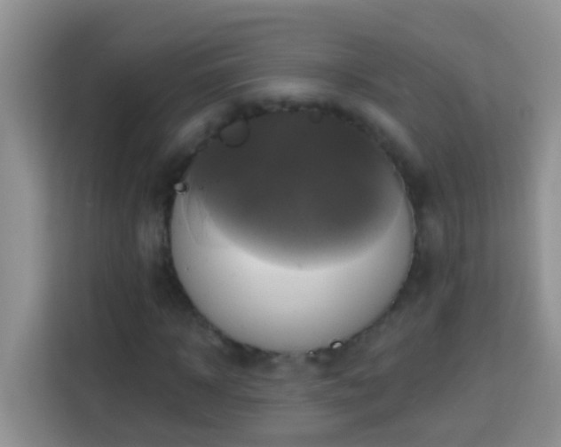 X0000114100918200910051442