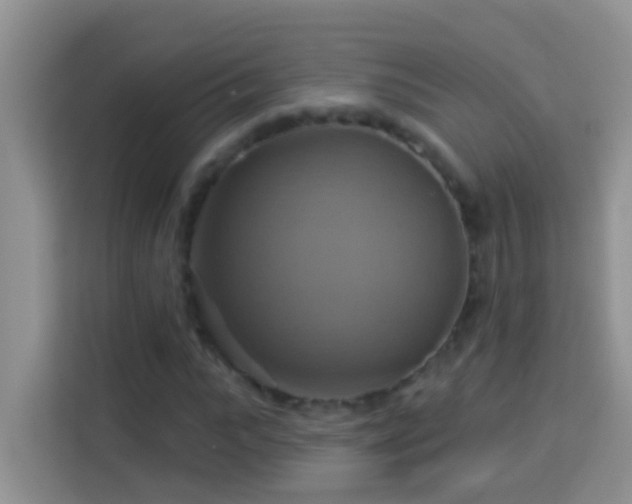 X0000114100919200910051442