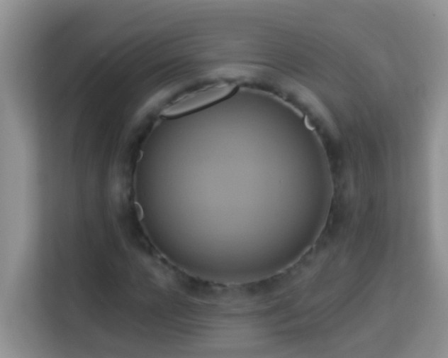 X0000114100920200910051442