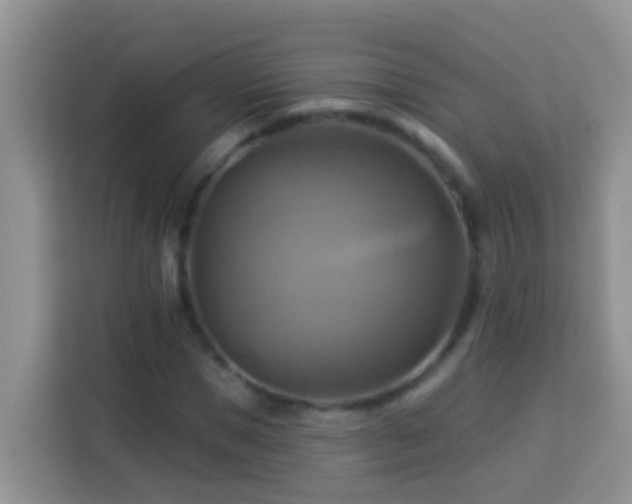 X0000114100921200910051442