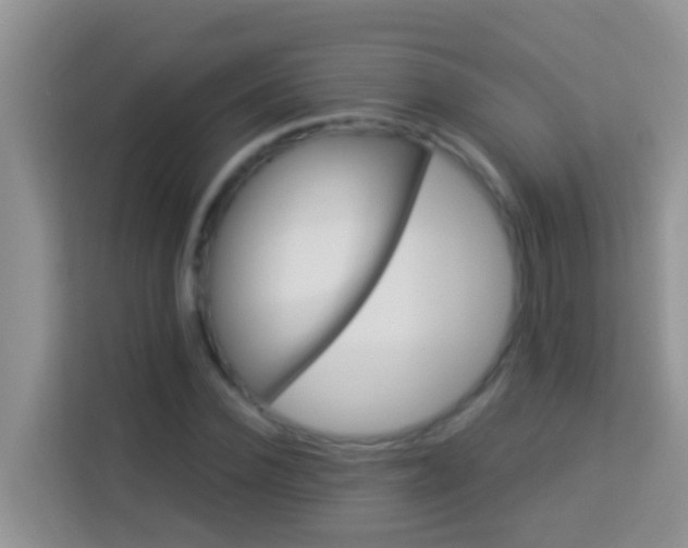 X0000114100924200910051442