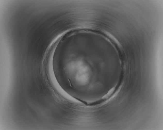 X0000114100925200910051442