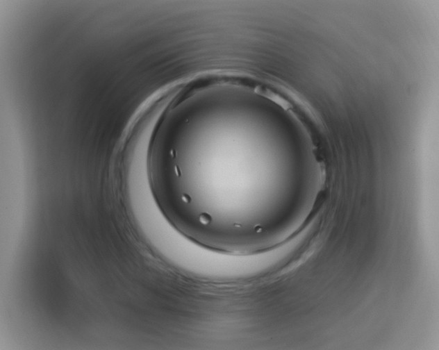 X0000114100926200910051442