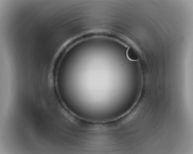 X0000114100927200910051442