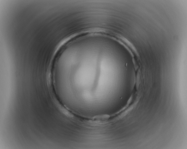 X0000114100928200910051442