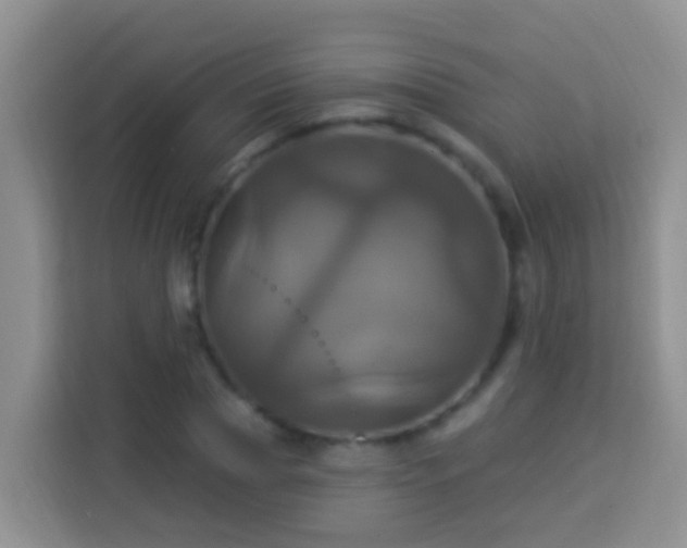 X0000114100929200910051442