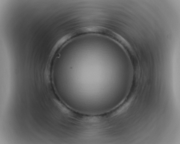 X0000114100930200910051442