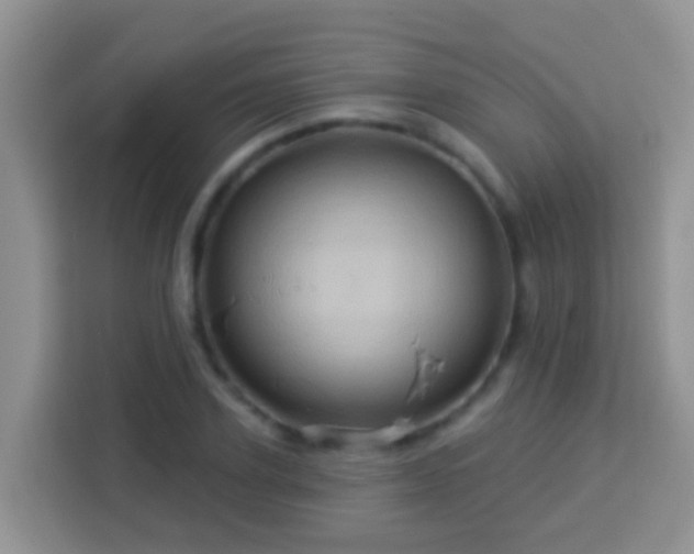 X0000114100931200910051442