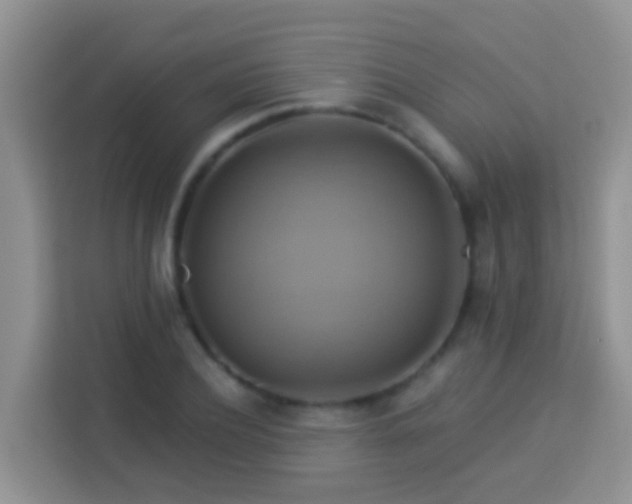 X0000114100932200910051442