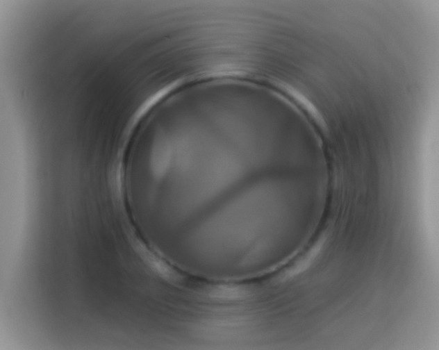 X0000114100933200910051442