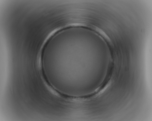 X0000114100934200910051442