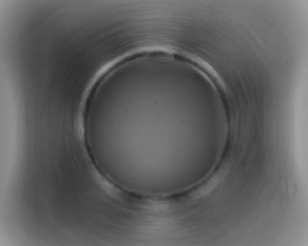 X0000114100935200910051442