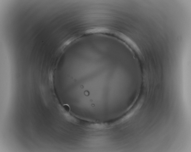 X0000114100937200910051442