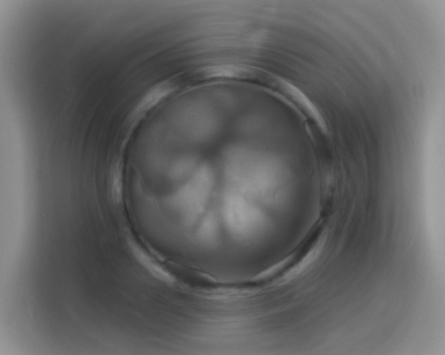 X0000114100938200910051442