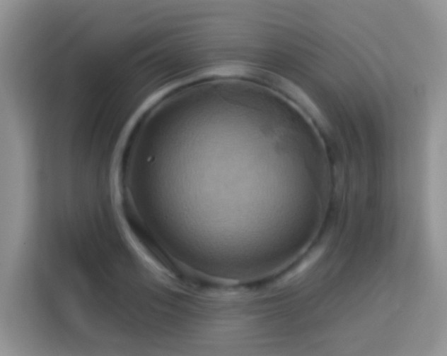 X0000114100939200910051442