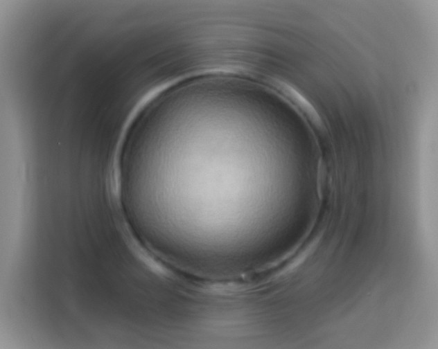 X0000114100940200910051442