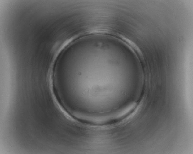 X0000114100941200910051442