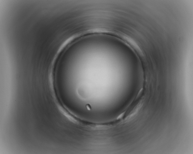 X0000114100942200910051442