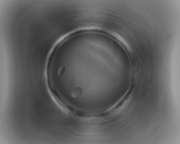 X0000114100943200910051442