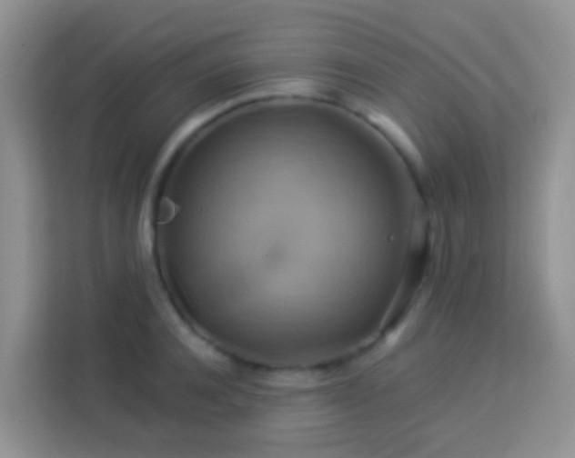 X0000114100944200910051442