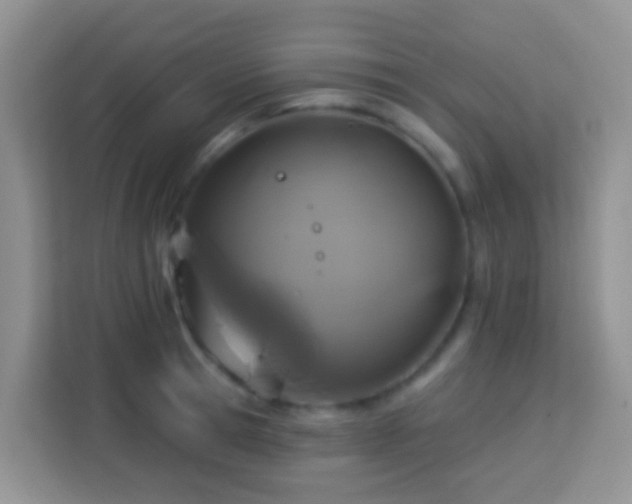 X0000114100945200910051442