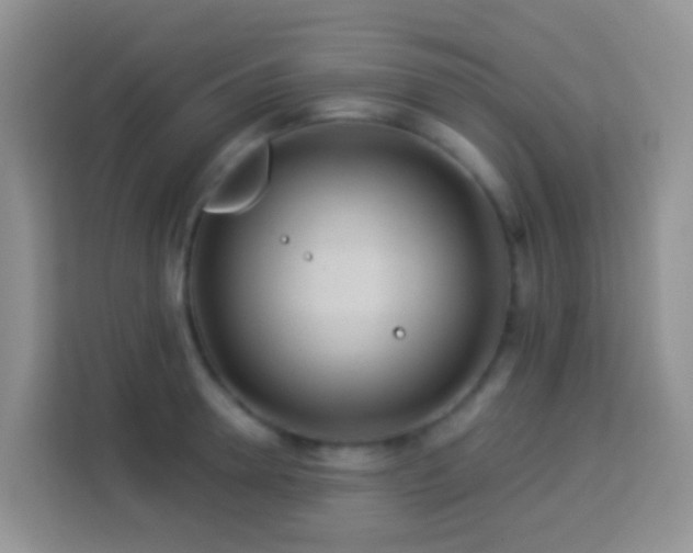 X0000114100946200910051442