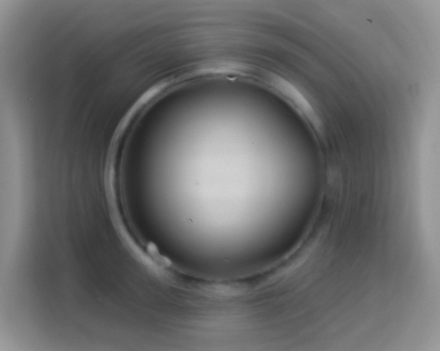 X0000114100947200910051442