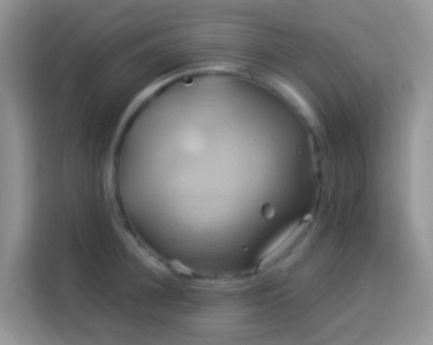 X0000114100948200910051442