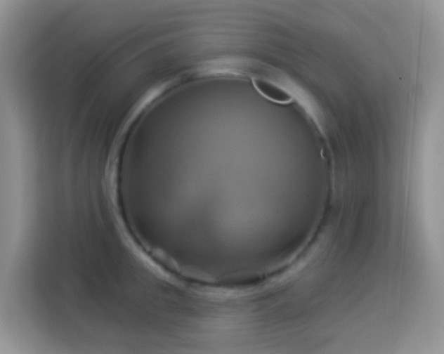 X0000114100949200910051442