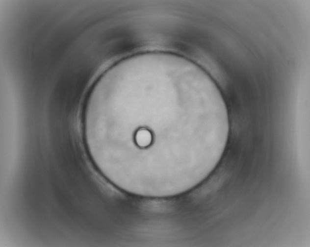 X0000114100950200910051442