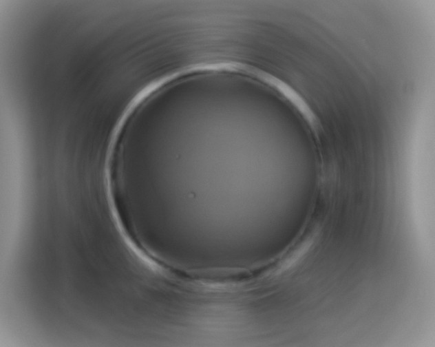 X0000114100951200910051442