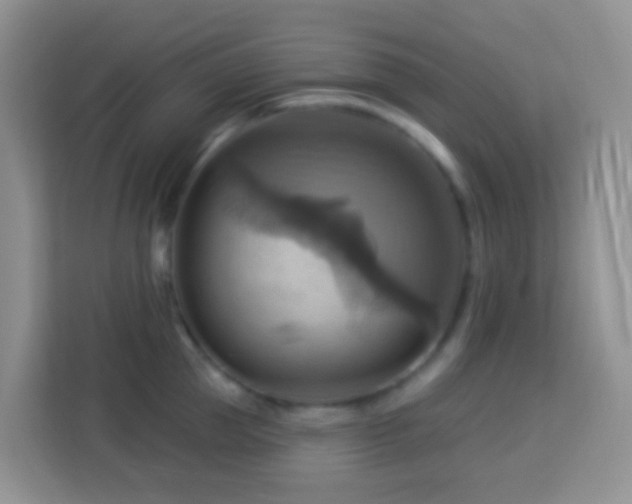 X0000114100953200910051442