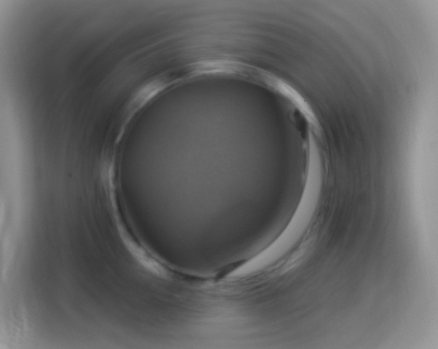 X0000114100954200910051442