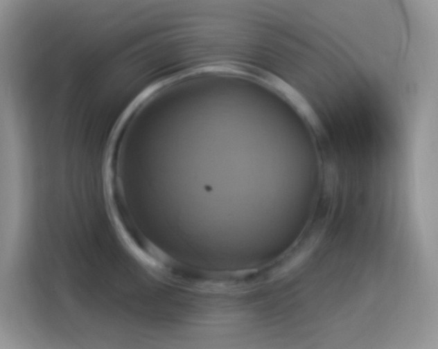 X0000114100955200910051442