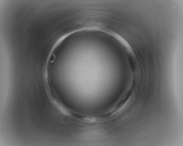 X0000114100956200910051442