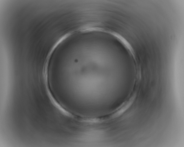 X0000114100957200910051442