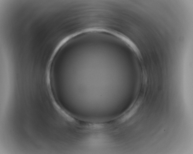 X0000114100958200910051442