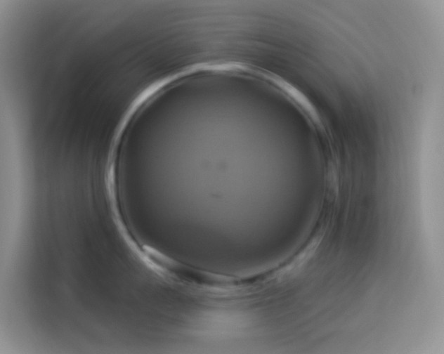 X0000114100959200910051442