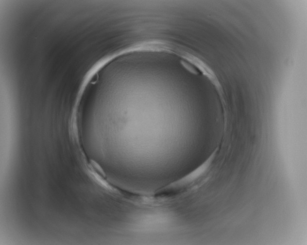 X0000114100960200910051442