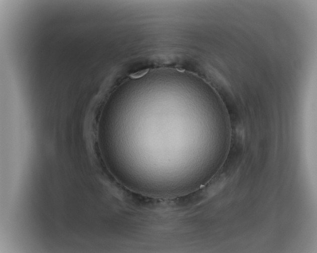 X0000114100961200910051442