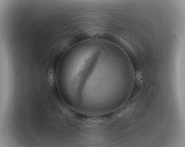 X0000114100963200910051442