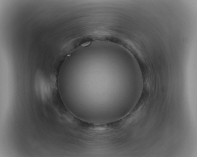 X0000114100964200910051442