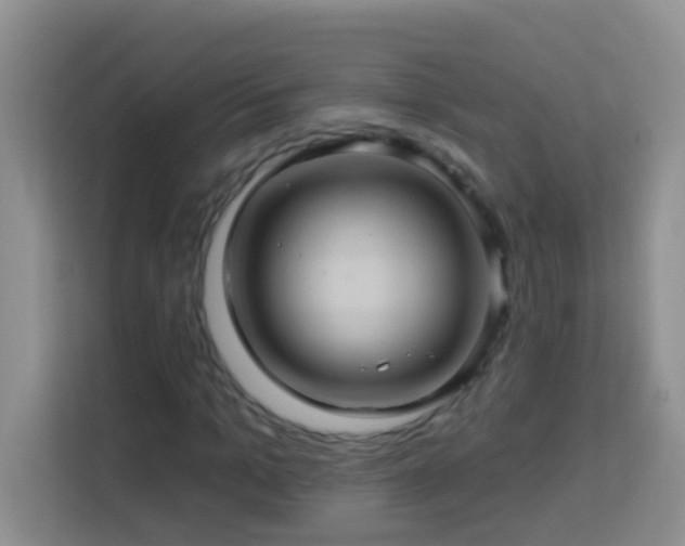 X0000114100965200910051442