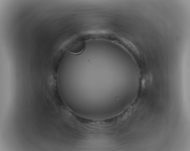 X0000114100966200910051442