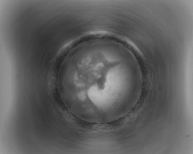 X0000114100967200910051442