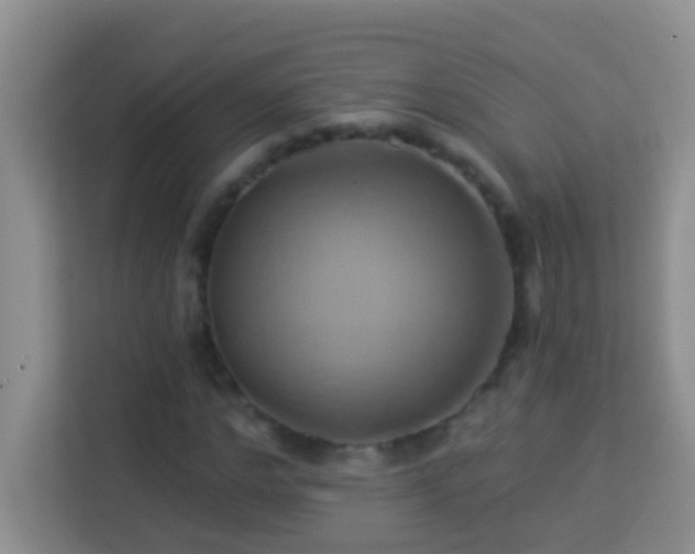 X0000114100968200910051442