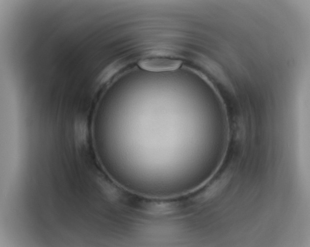 X0000114100969200910051442