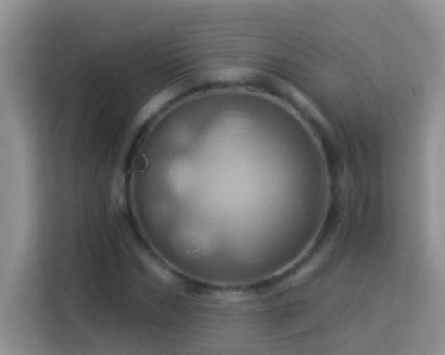 X0000114100970200910051442